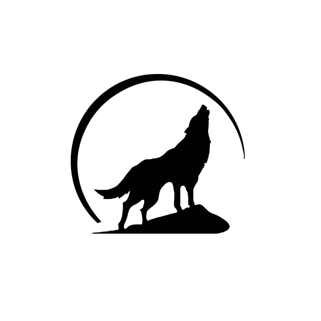 Photography & Film in Surat – Moonlight Pictures – logo